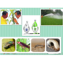 Insectifuge Agroquímicos Pesticida Metomyl Carbamate Insecticide